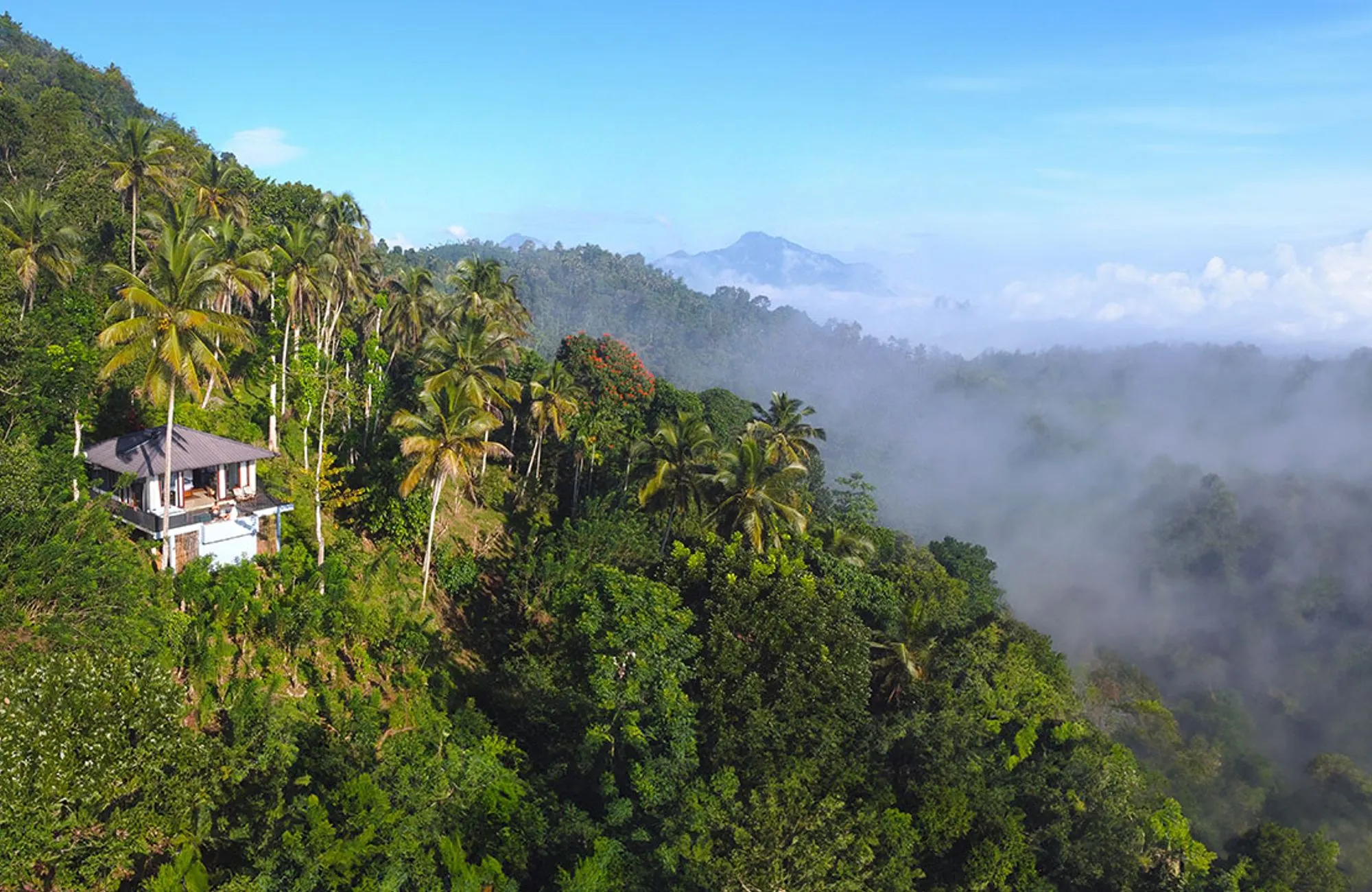Open-air dining pavilion at Aarunya Nature Resort set among tea bushes