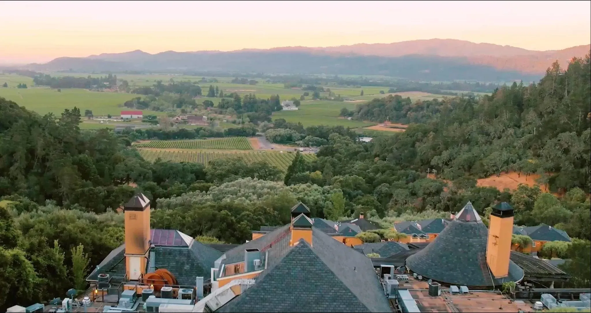 Auberge du Soleil's terraced hillside olive grove at golden hour, with the Napa Valley floor and vineyards spreading out below Rutherford Hill