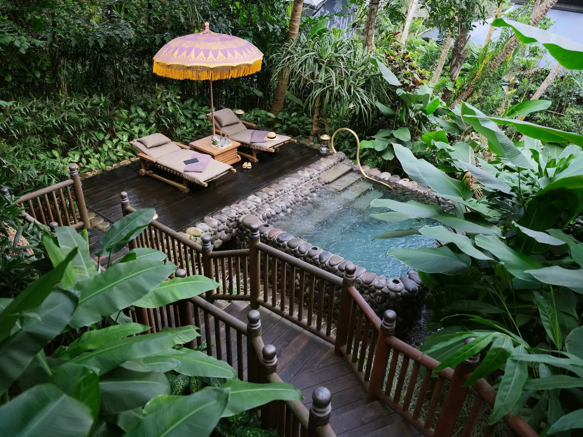 The Cistern heated outdoor pool at Auriga Wellness surrounded by rainforest at Capella Ubud