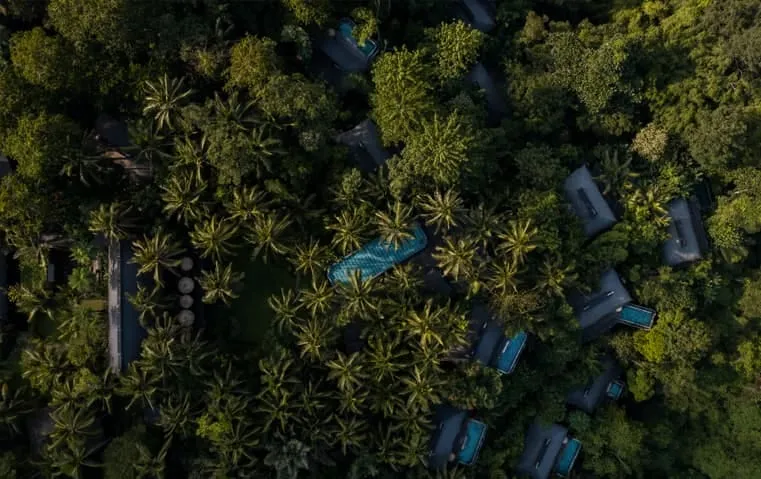 A canvas tent with a heated private pool set among the rainforest canopy at Capella Ubud, Bali