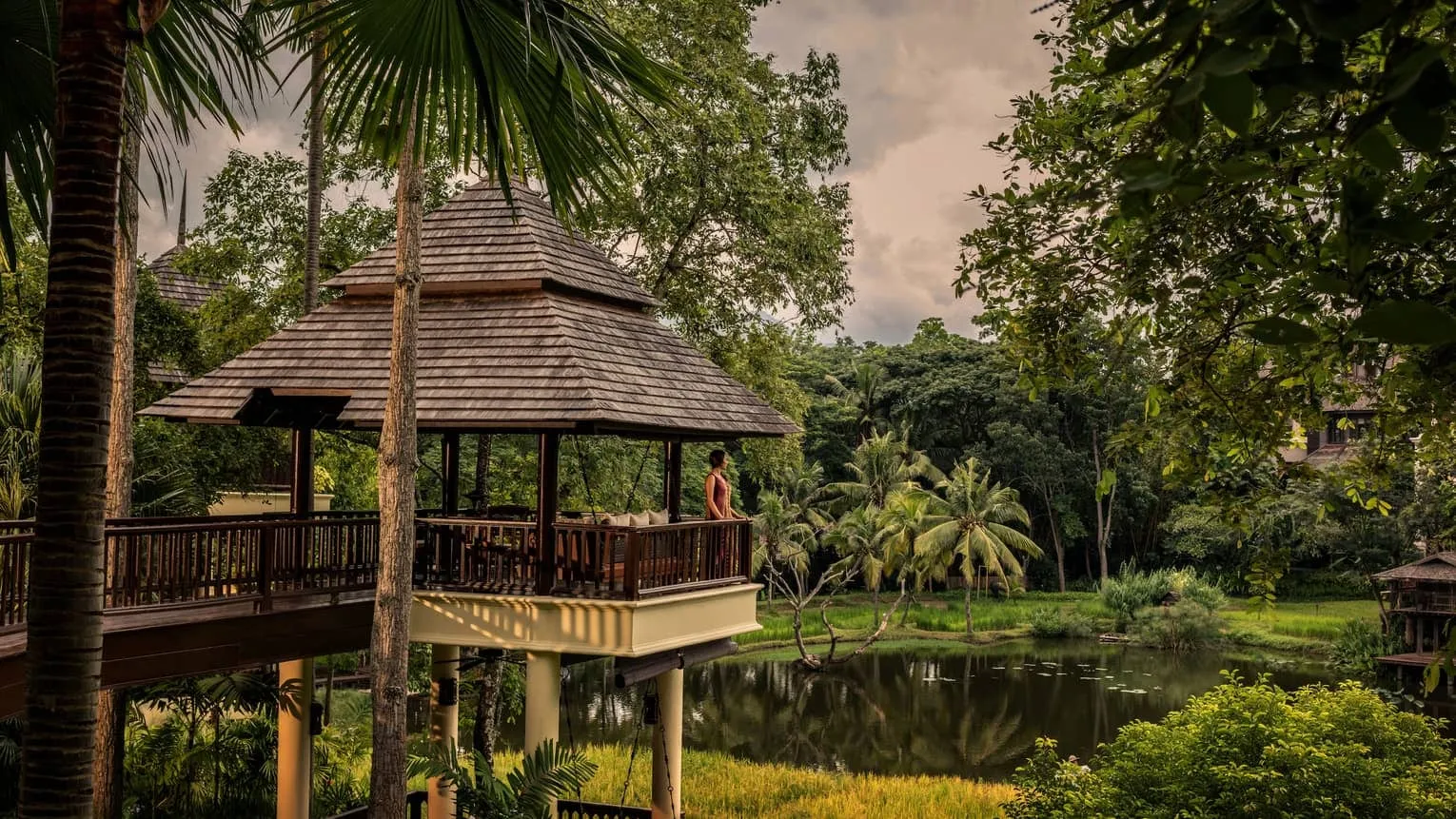 An infinity-edge pool at Four Seasons Resort Chiang Mai looking out over green rice terraces toward forested hills