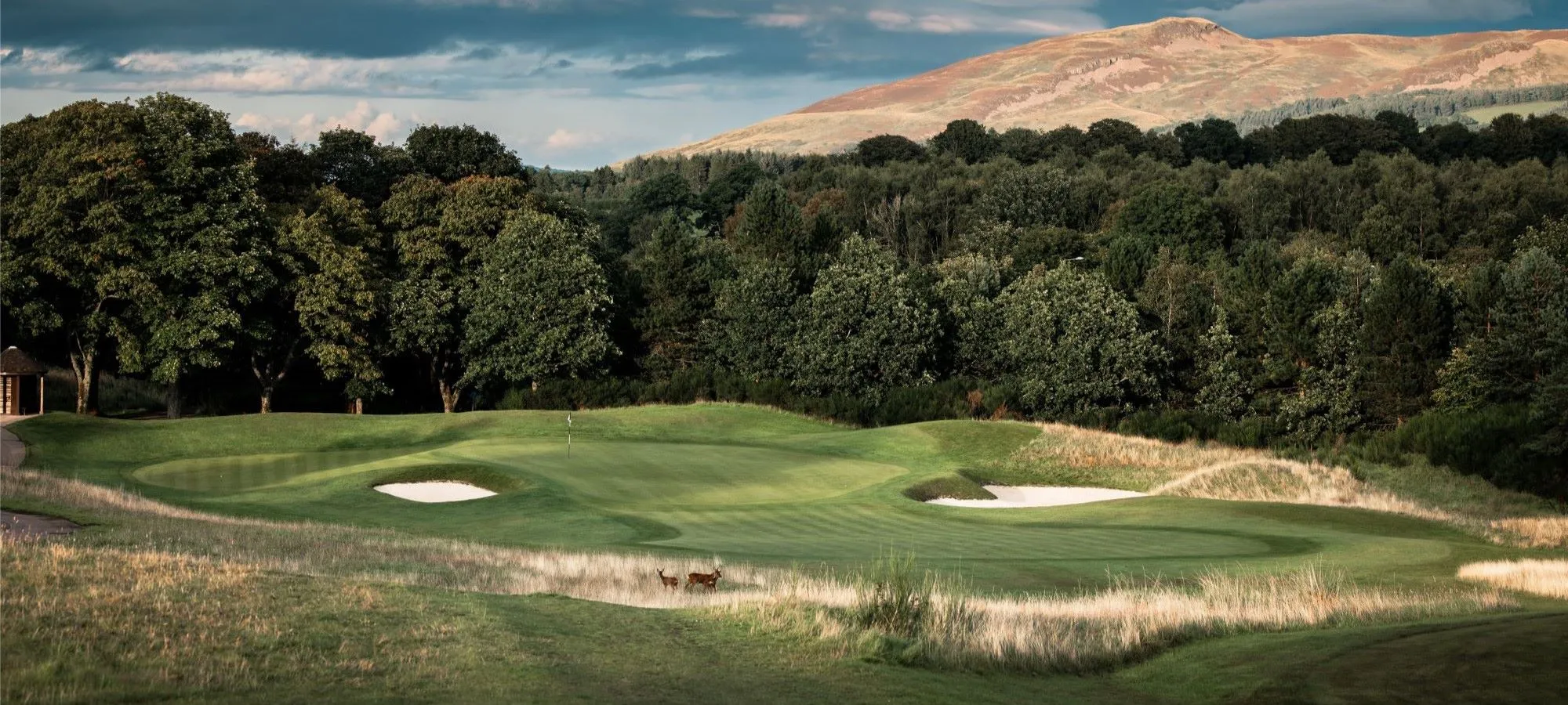 The thermal pool and glass-walled spa pavilion at Gleneagles
