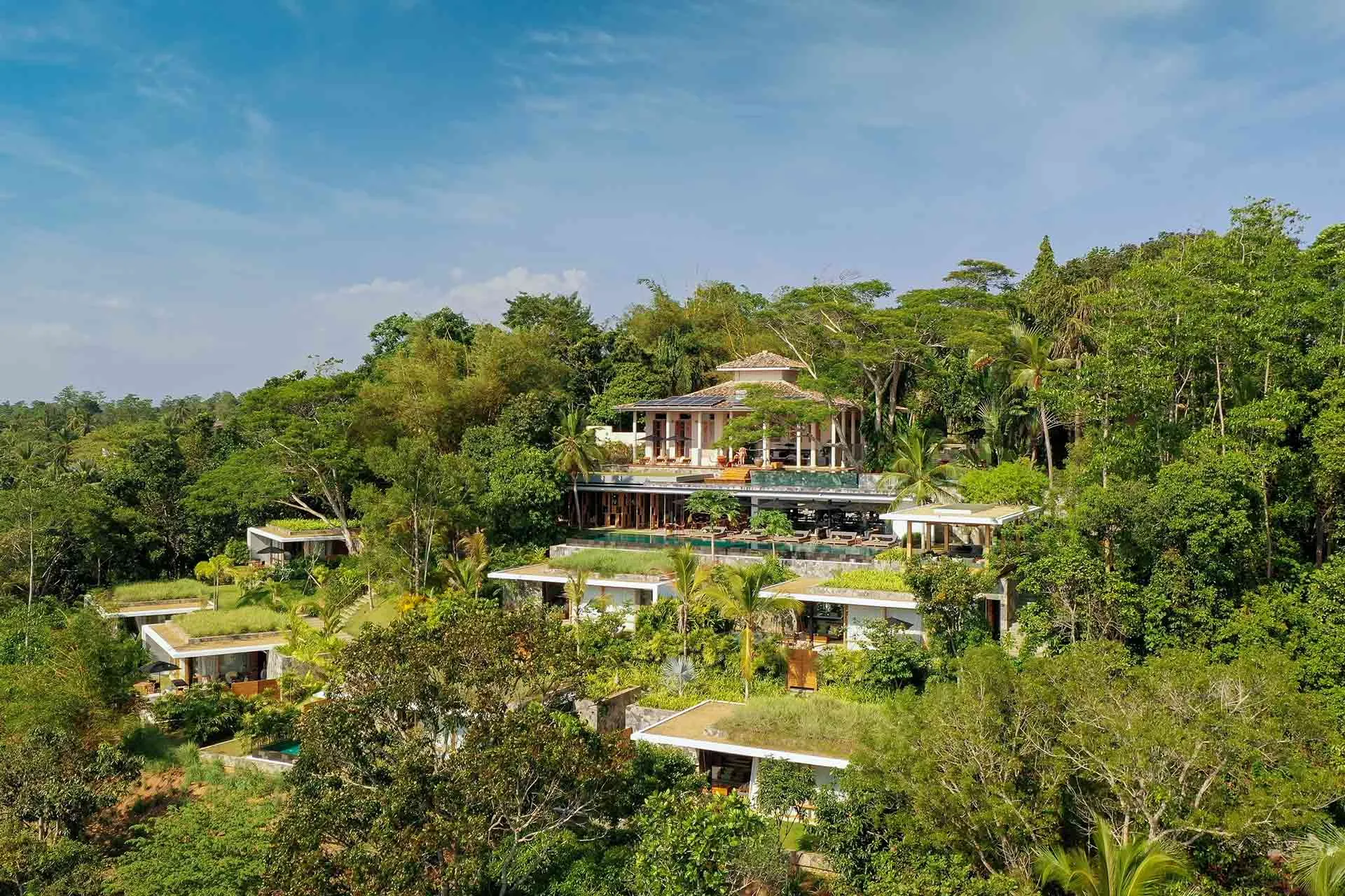 Treatment room at Jungle Spa surrounded by tropical forest planting