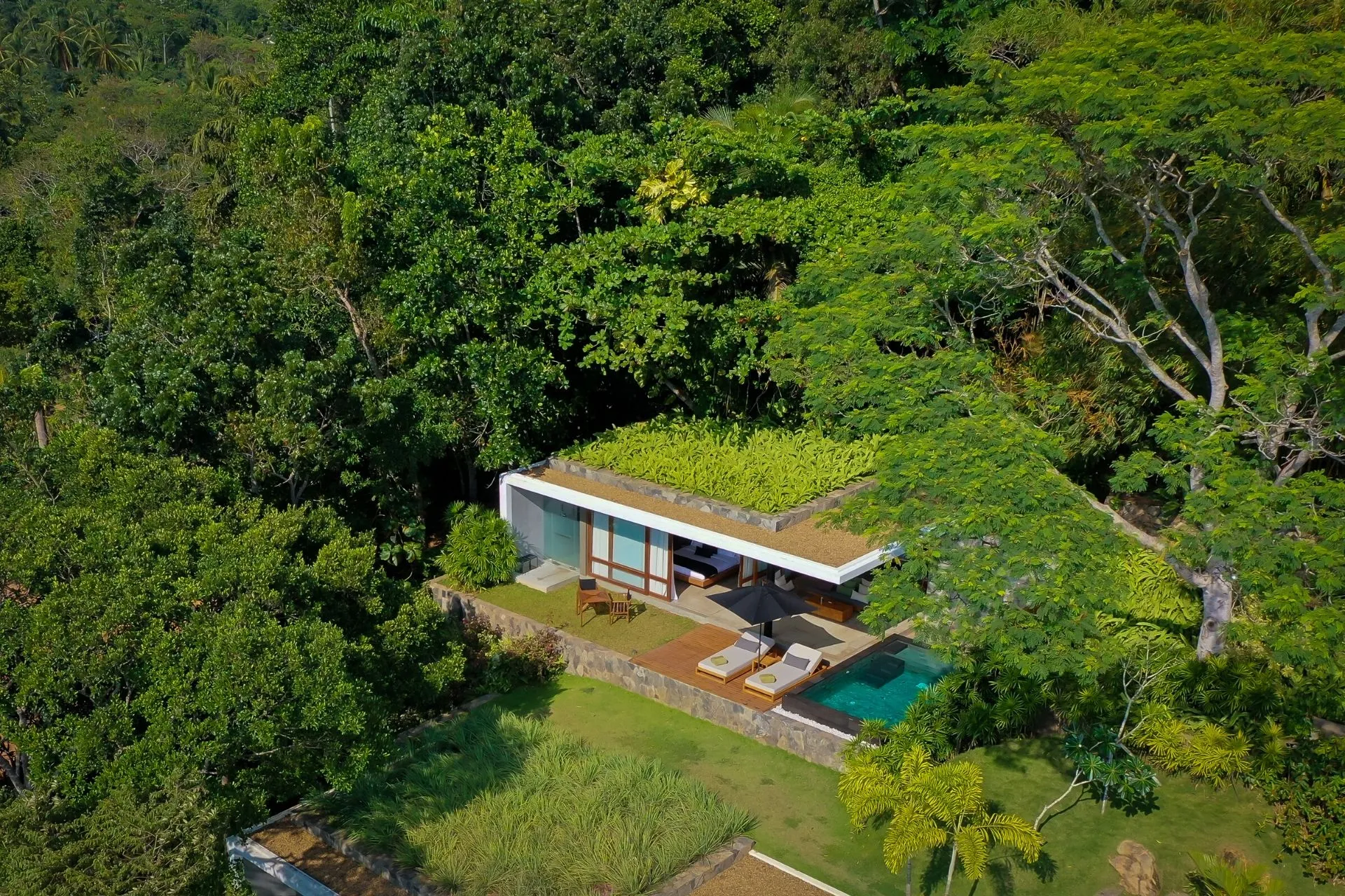 A contemporary one-bedroom villa at Haritha Villas + Spa set among trees on a forested hilltop, with a private saltwater plunge pool on its terrace