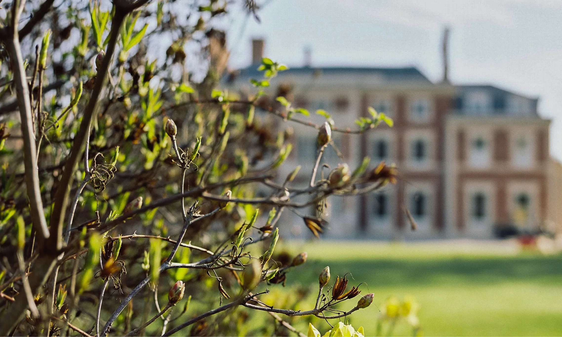 The restored Georgian facade of Heckfield Place seen across its Hampshire parkland at dusk