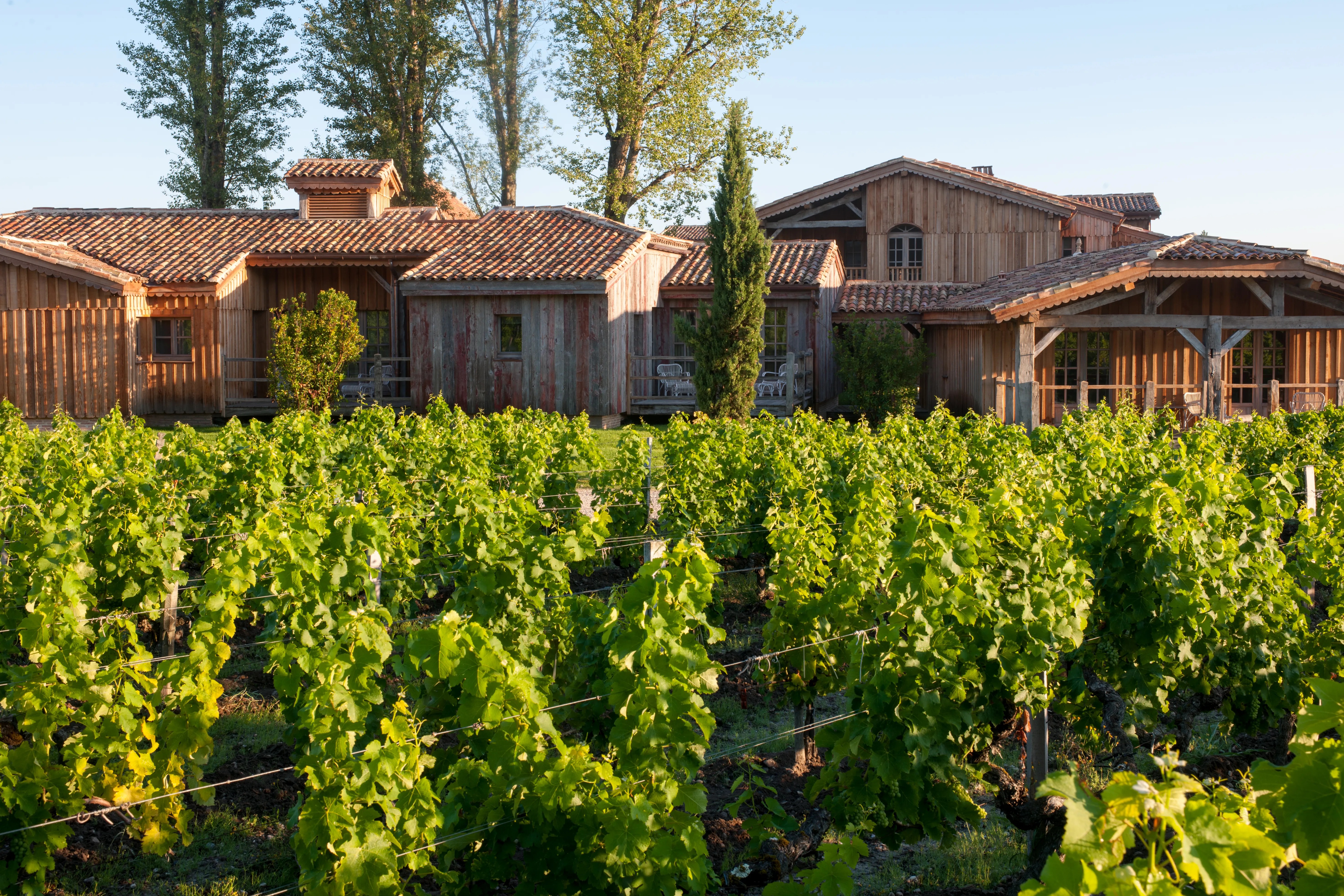 Timber-framed guest houses of Les Sources de Caudalie set among the vine rows of Château Smith Haut Lafitte at dusk