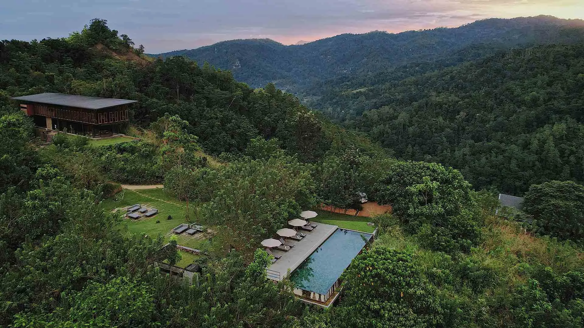 A timber chalet raised on stilts among tea-plantation forest in the hills above Kandy, Sri Lanka
