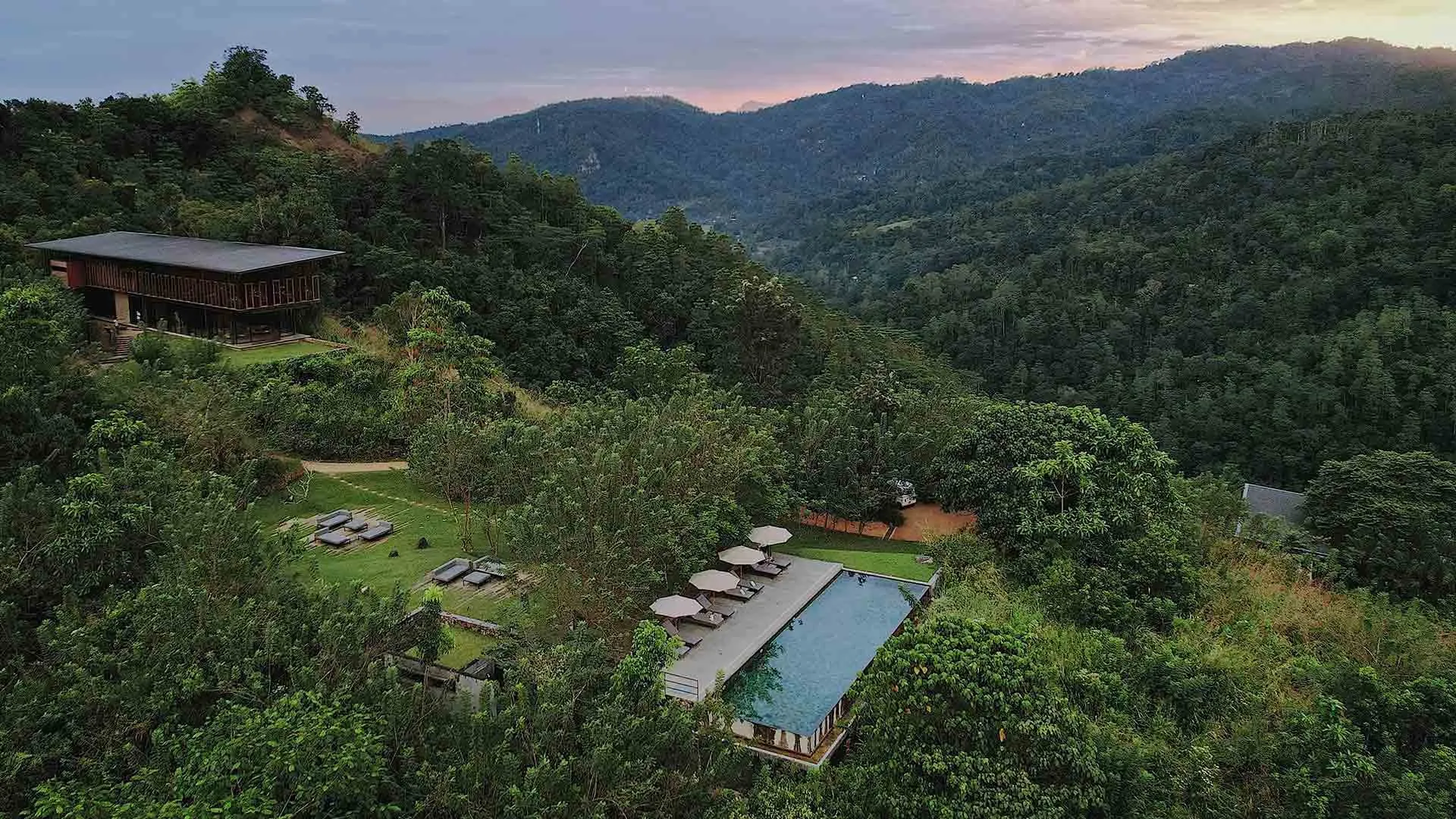 A timber chalet raised on stilts among tea-plantation forest in the hills above Kandy, Sri Lanka