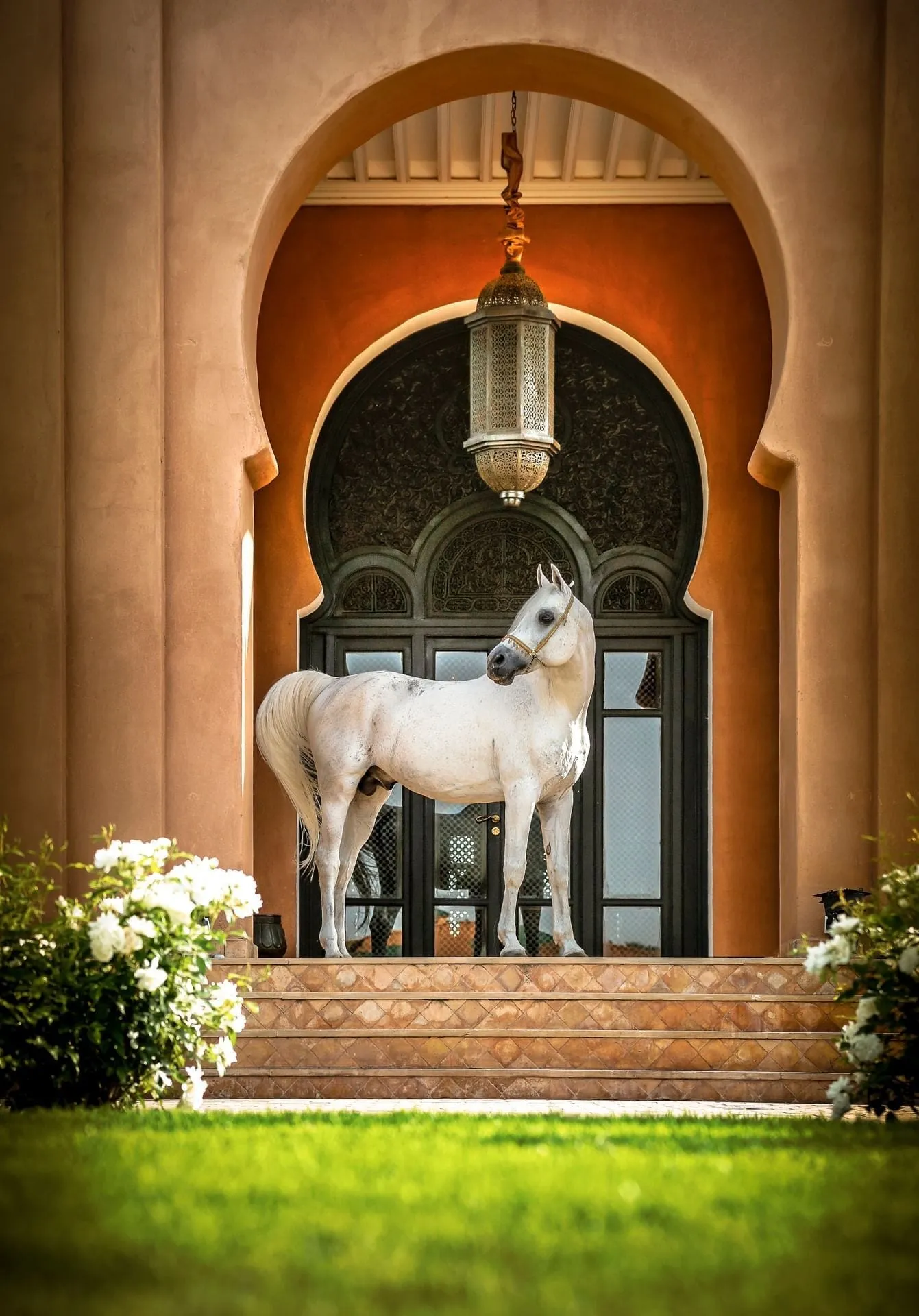 The 80-metre pool at Selman Marrakech bordered by gardens and the hotel's restaurant terrace